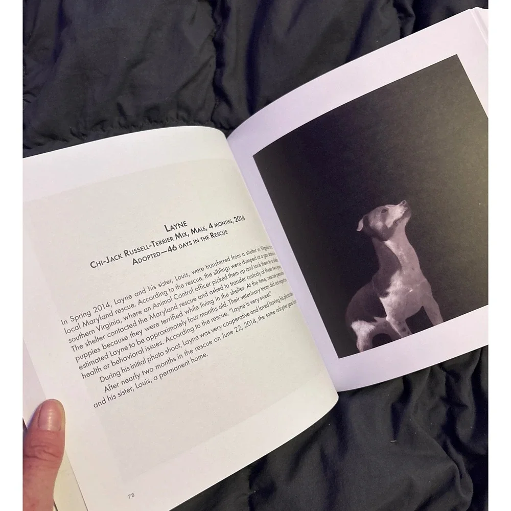 NEW Abandoned Chronicling the Journeys of Once-Forsaken Dogs Katherine Carver HC